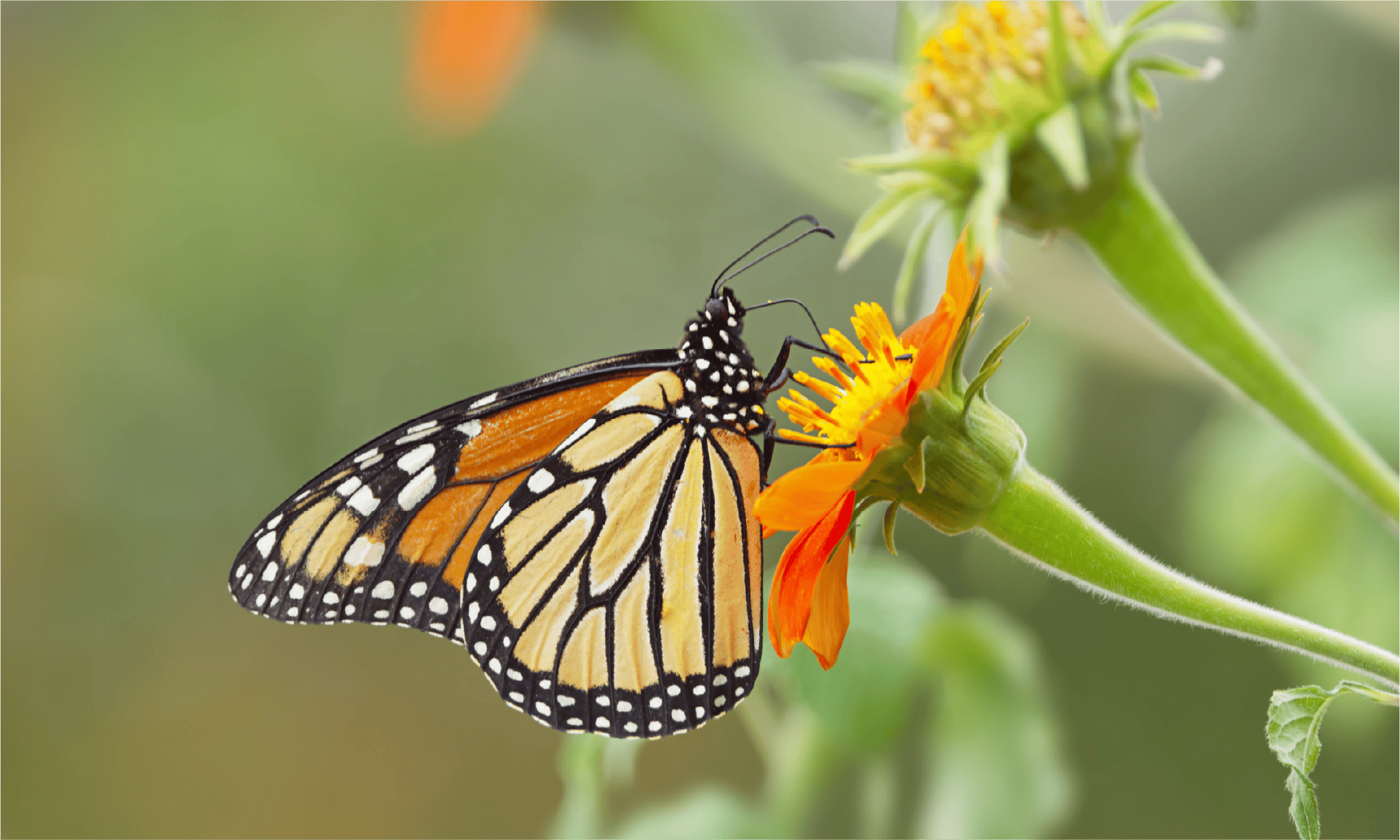 , Surrounded by Nature: A Place to Connect, Breathe, and Enjoy
