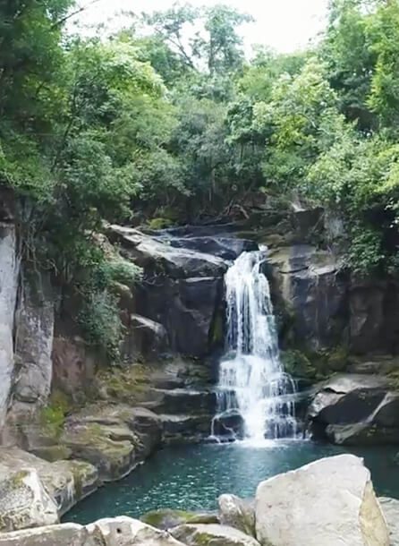 cañón ecológico