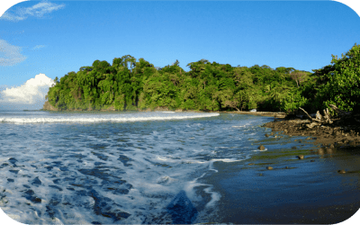 Las mejores playas cerca de Ciudad Nya