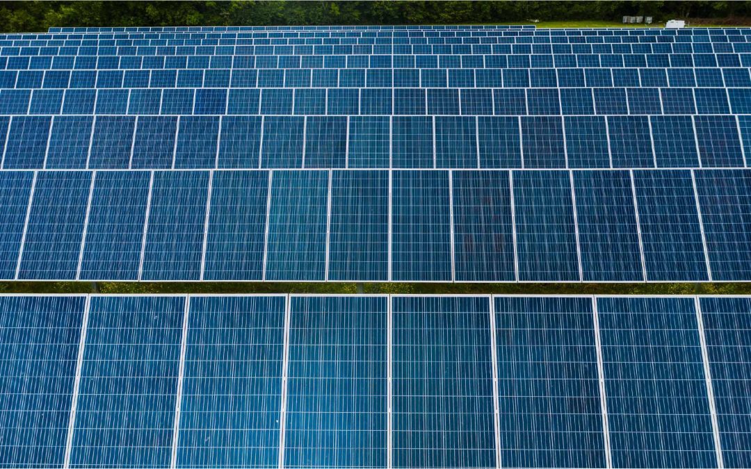 NUMU: Harnessing the Power of the Sun to Shape the Future of Ciudad Nya