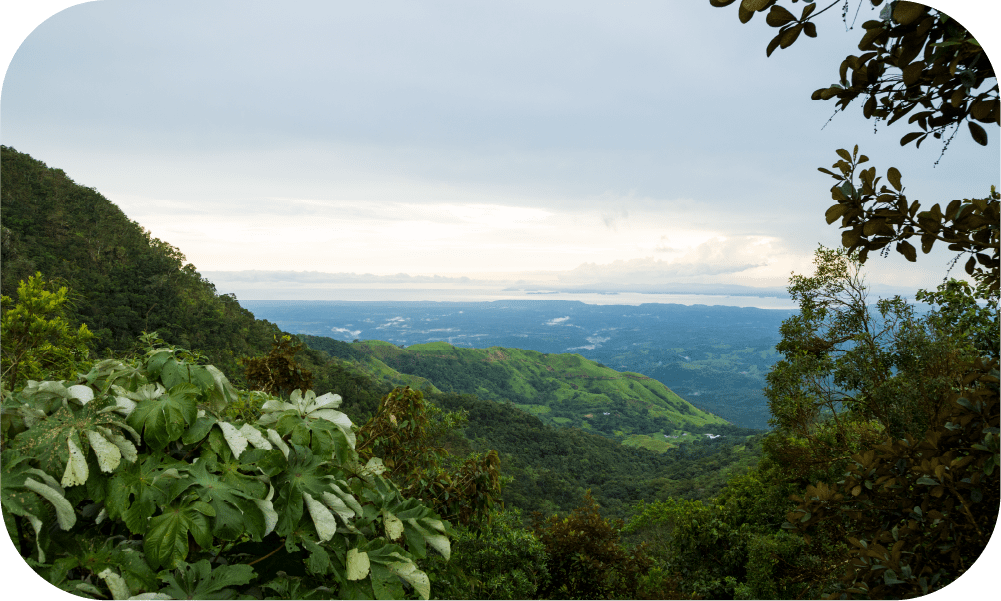 5 Razones por qué Guanacaste es Ideal para Invertir en Bienes Raíces